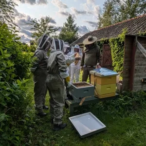 Hjo Biodlarförening 