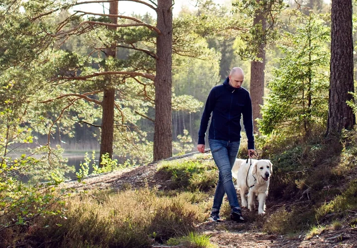 Hund i Västsverige