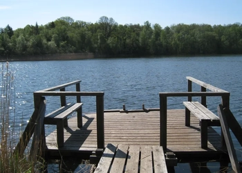 En träbrygga som ligger vid en sjö, en skog i bakgrunden.