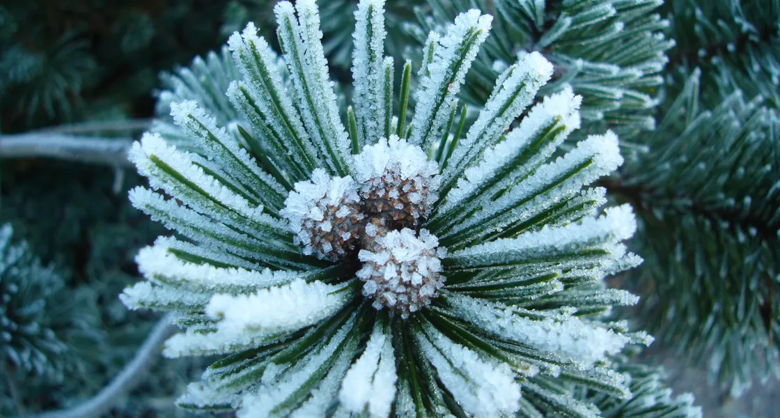 Slow Fashion: studentmössa