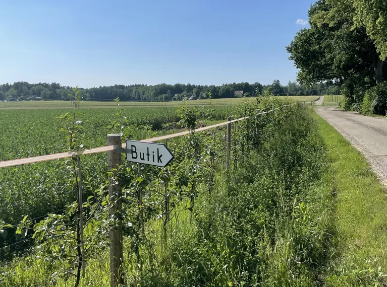 Lantlig väg med skylten Butik på sidan