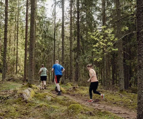 tre personer springer på en mindre stig i skogen.