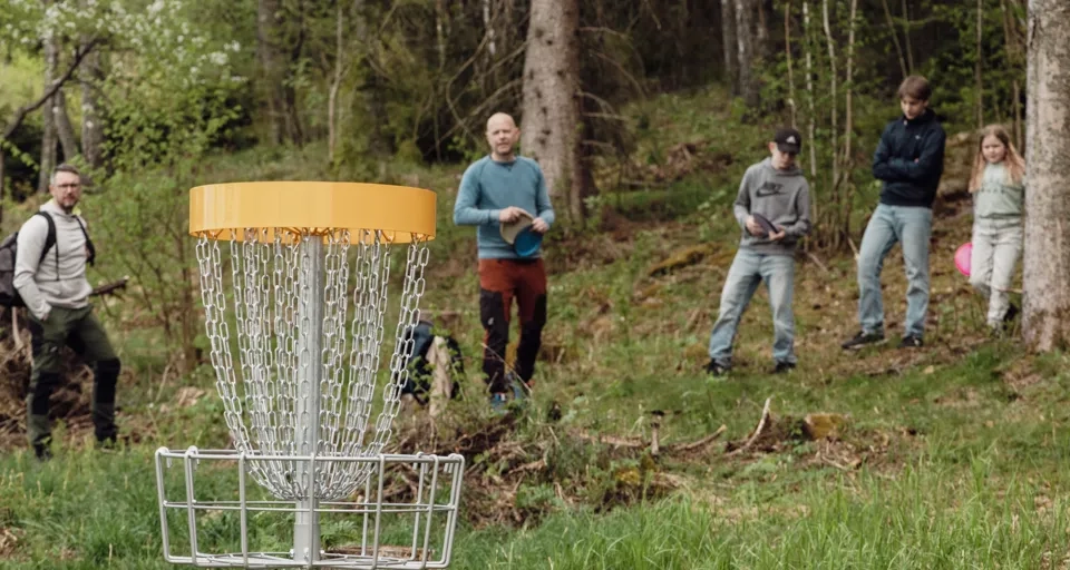 Flera discgolfspelare som snart ska kasta discen i en discgolfkorg i skogen.