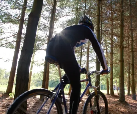 A man riding a bike through a forest.