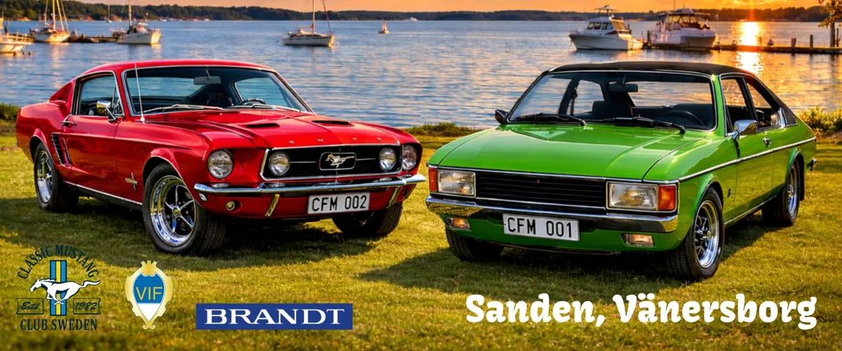 Classic Ford Meet