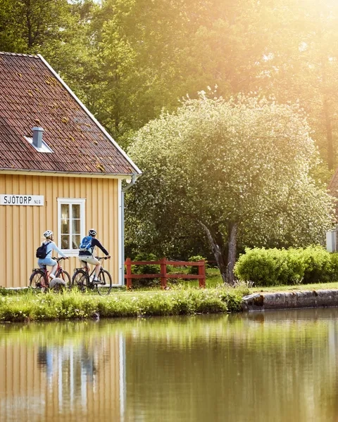 A couple of people riding bikes next to a body of water.