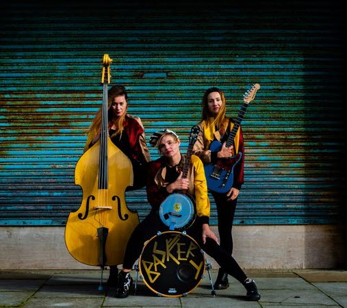 Baskery, Åmåls Bluesfest