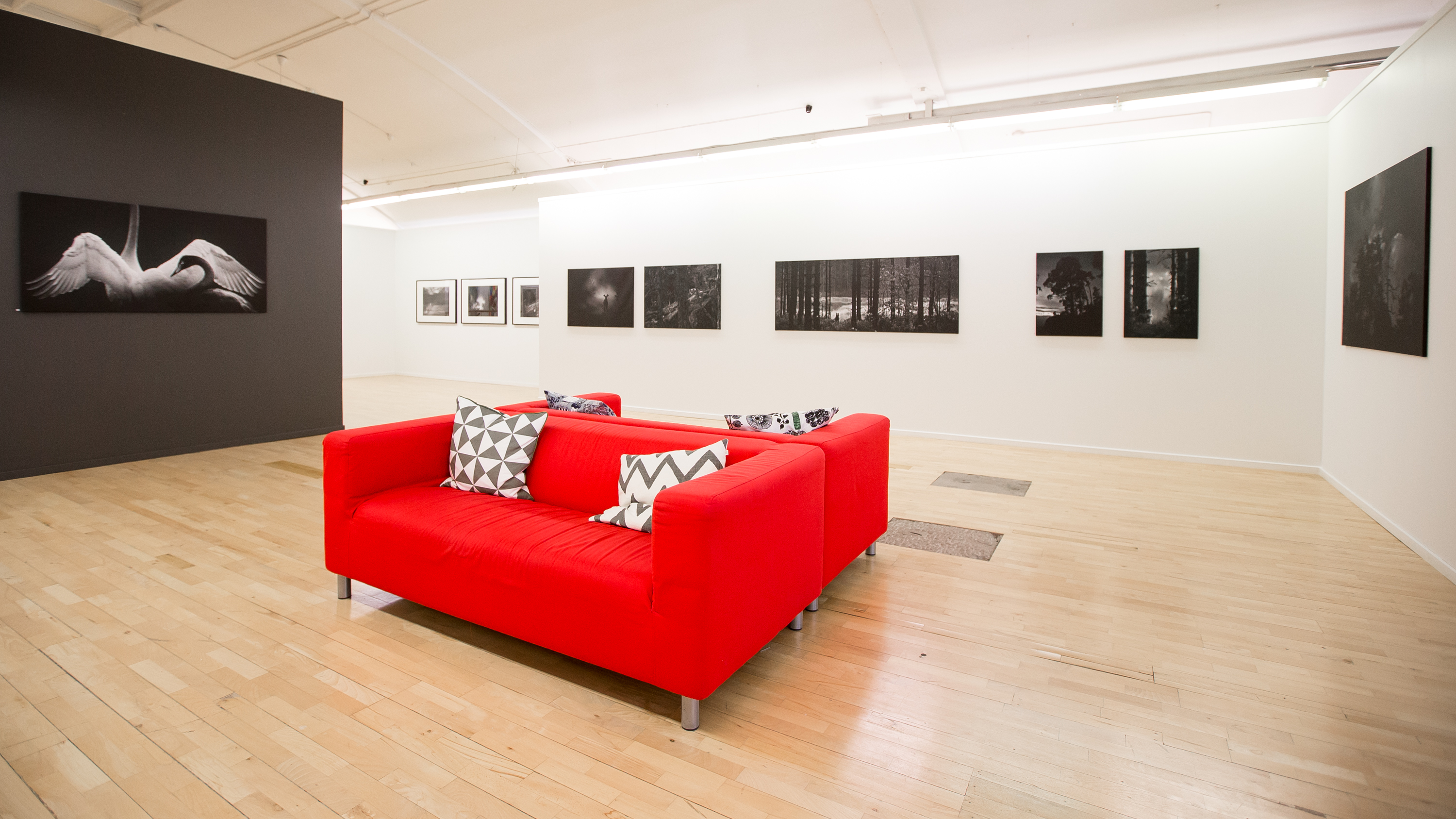 Abecita Popkonst & Foto