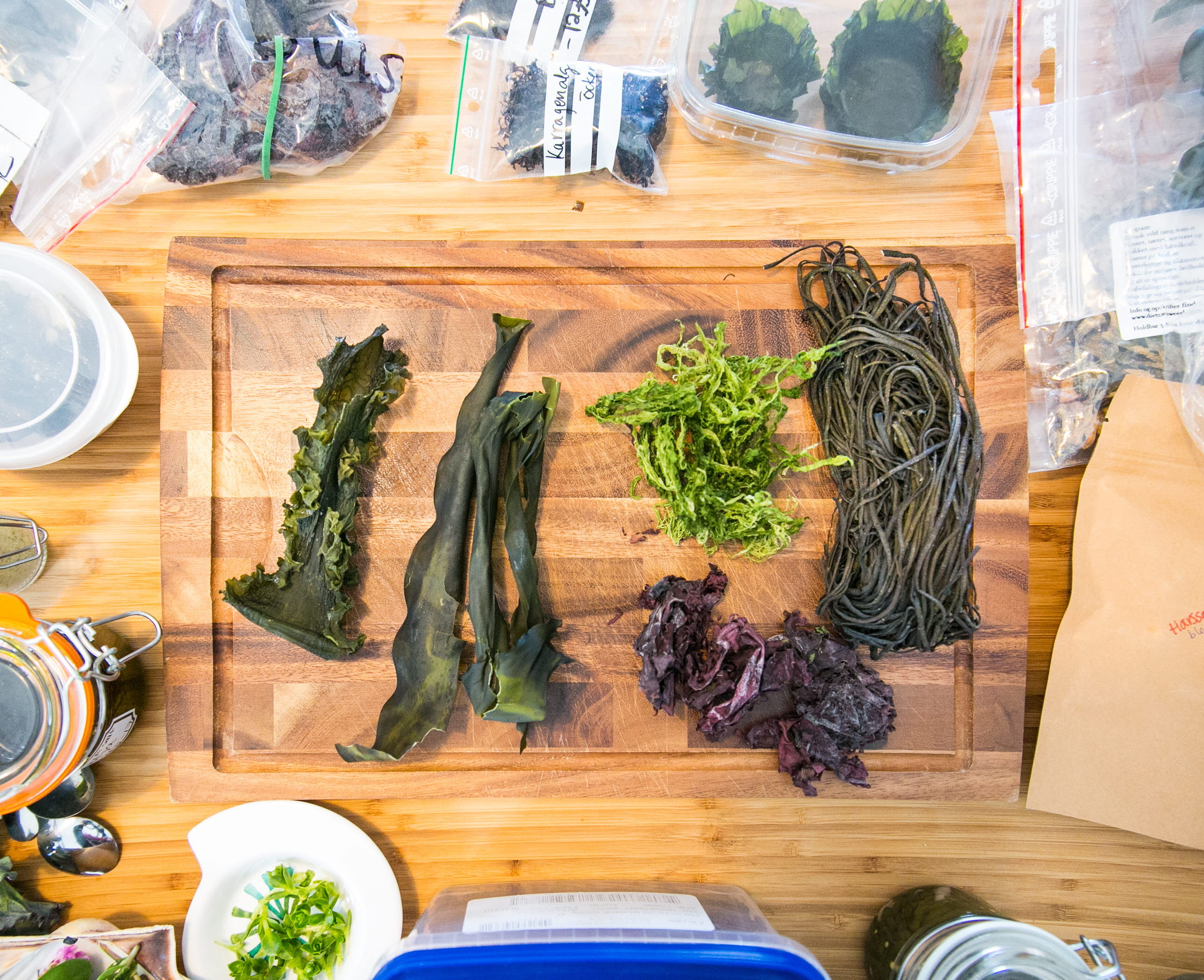 Olika tångsorter upplagda på en träbricka samt bredvid i tillslutna plastpåsar