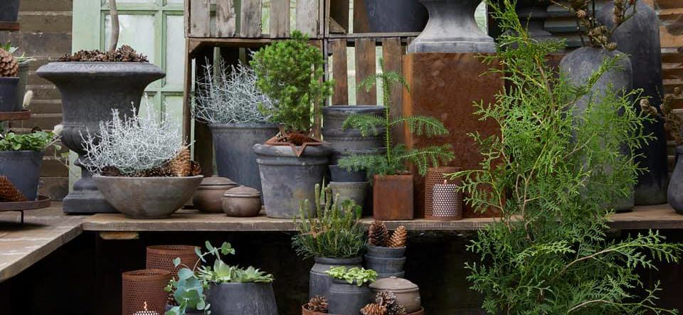 Bartley Garden