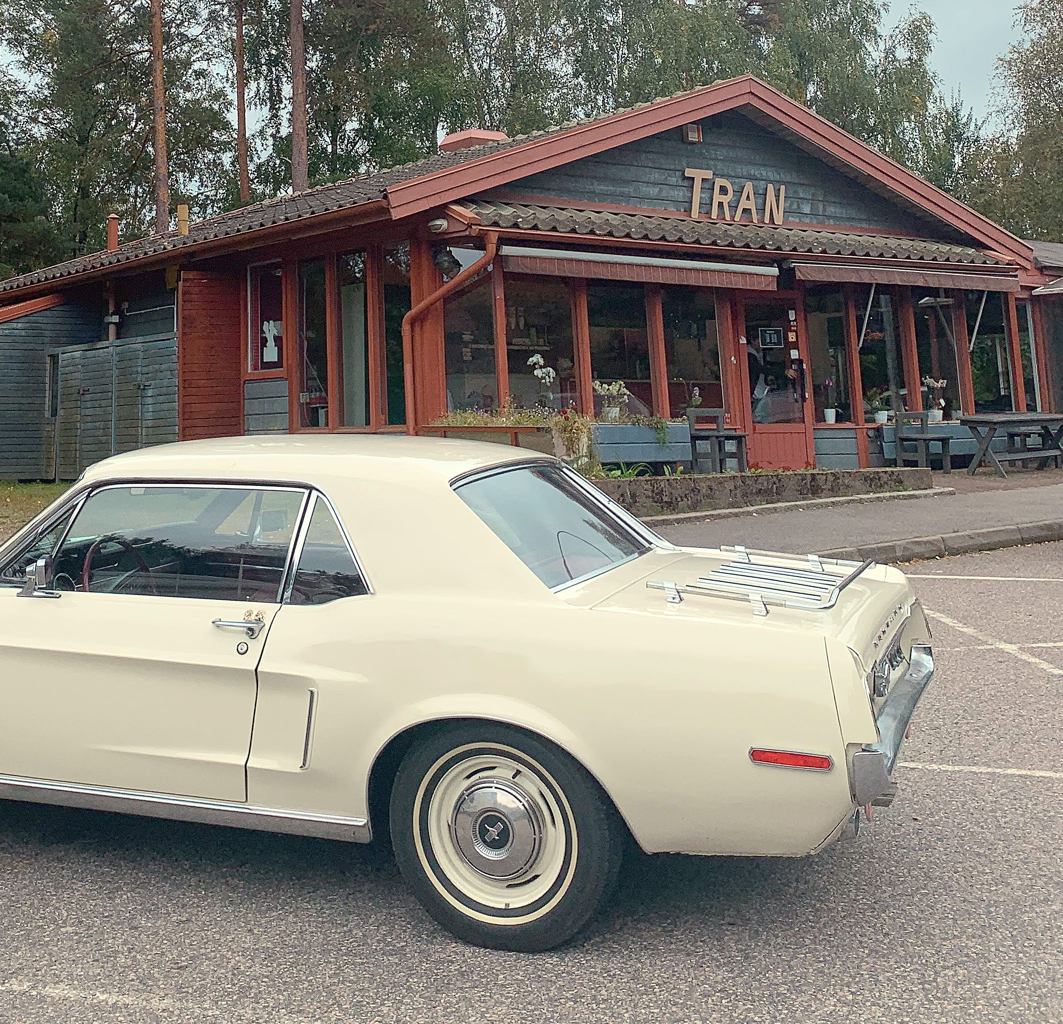 Vietnamesisk maträtt på Restaurang Tran