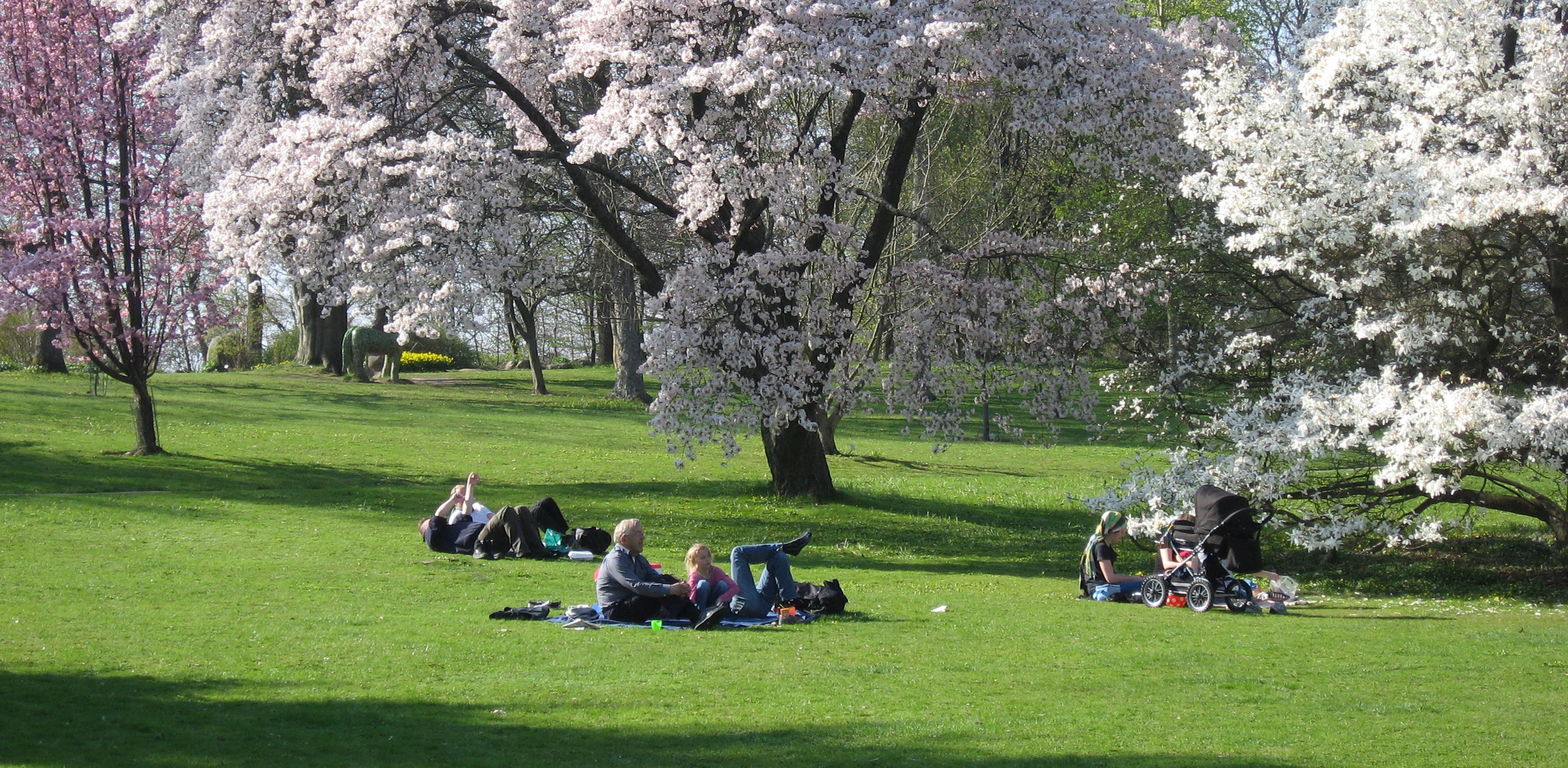 Botaniska Trädgården