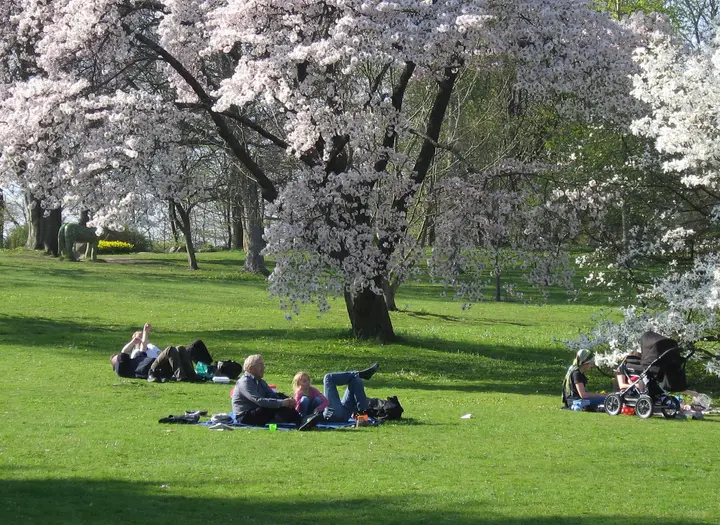 Botaniska Trädgården