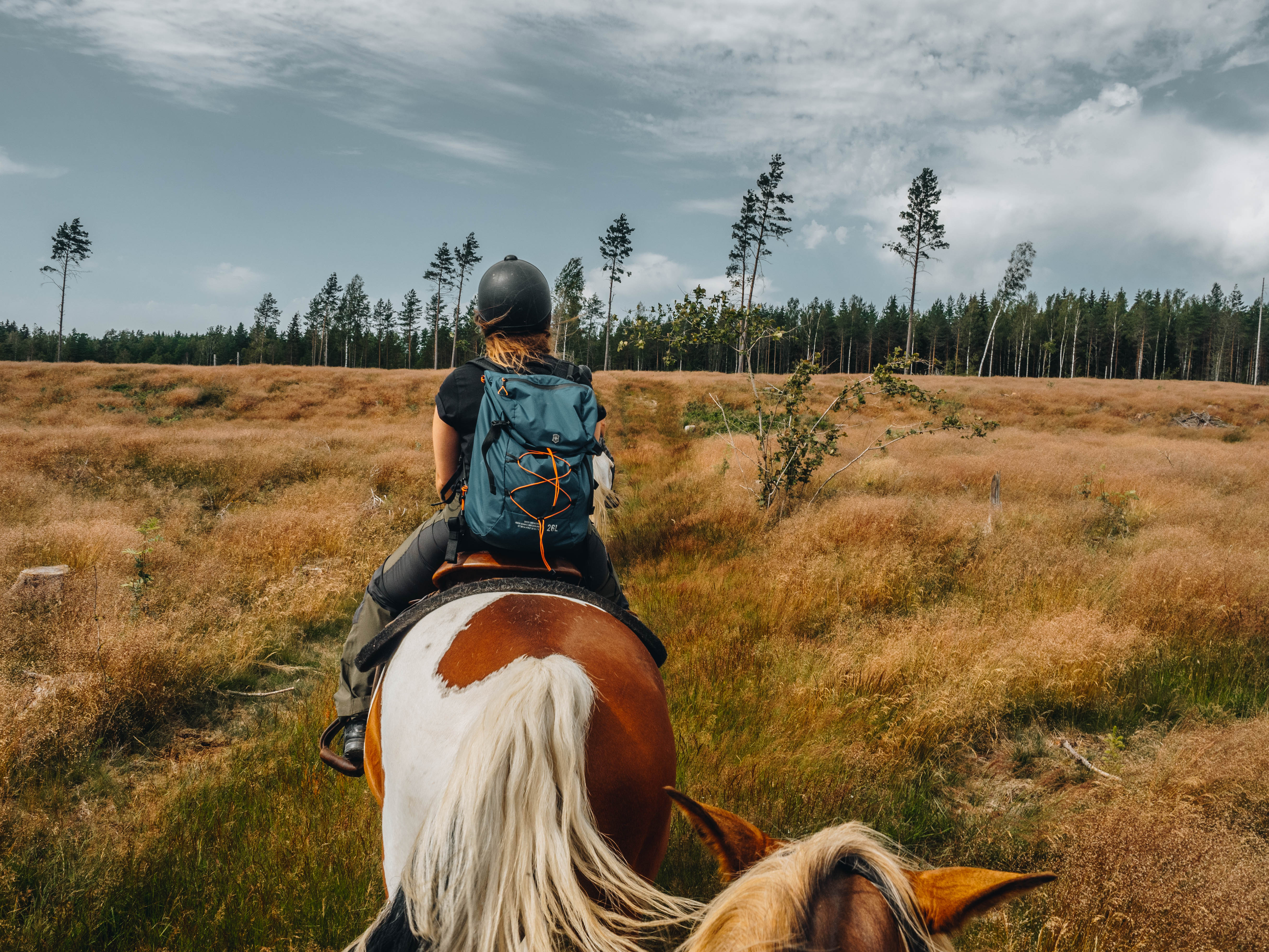 Horseback riding in Dalsland