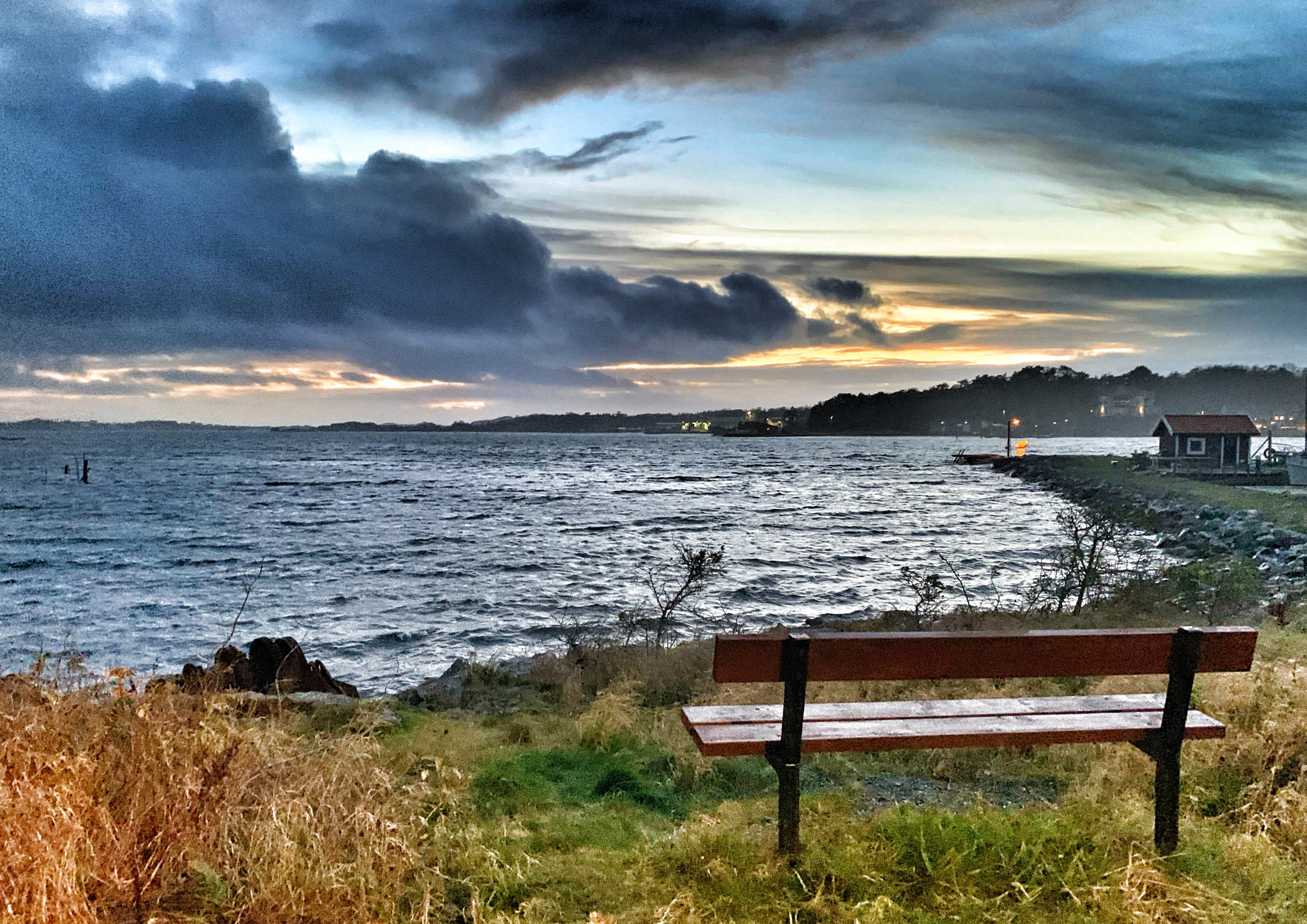 Parkbänk med havsutsikt