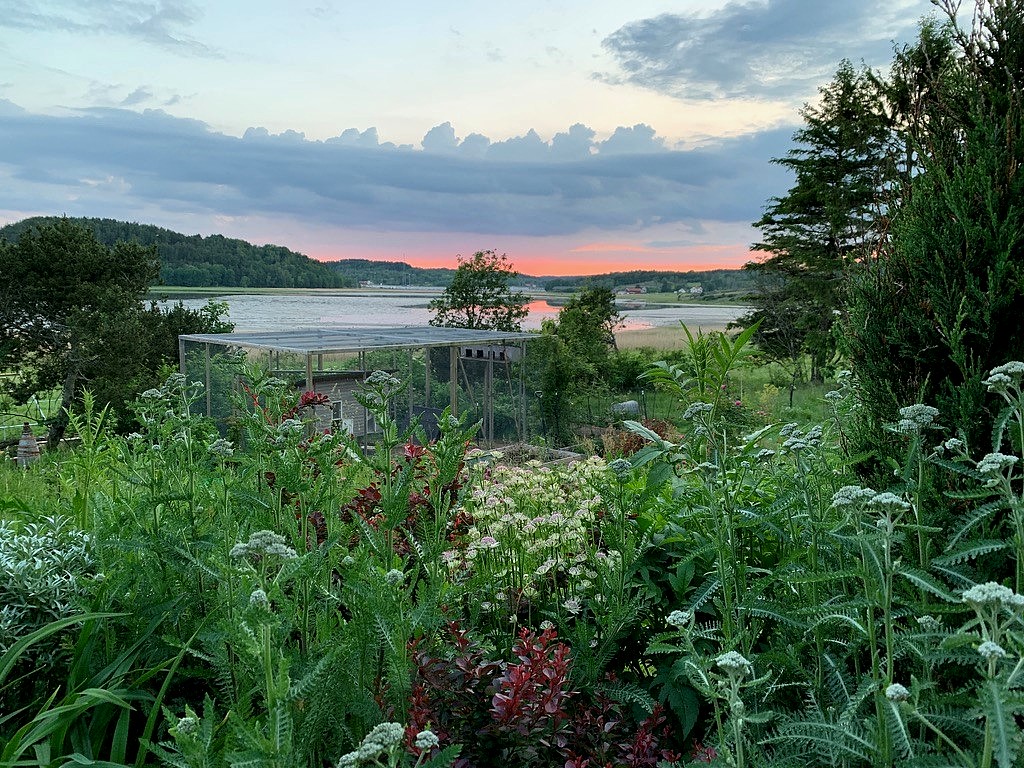 Beautiful view over a garden and the sea in Tjörn.
Emily Bratt - En annan slags trädgård