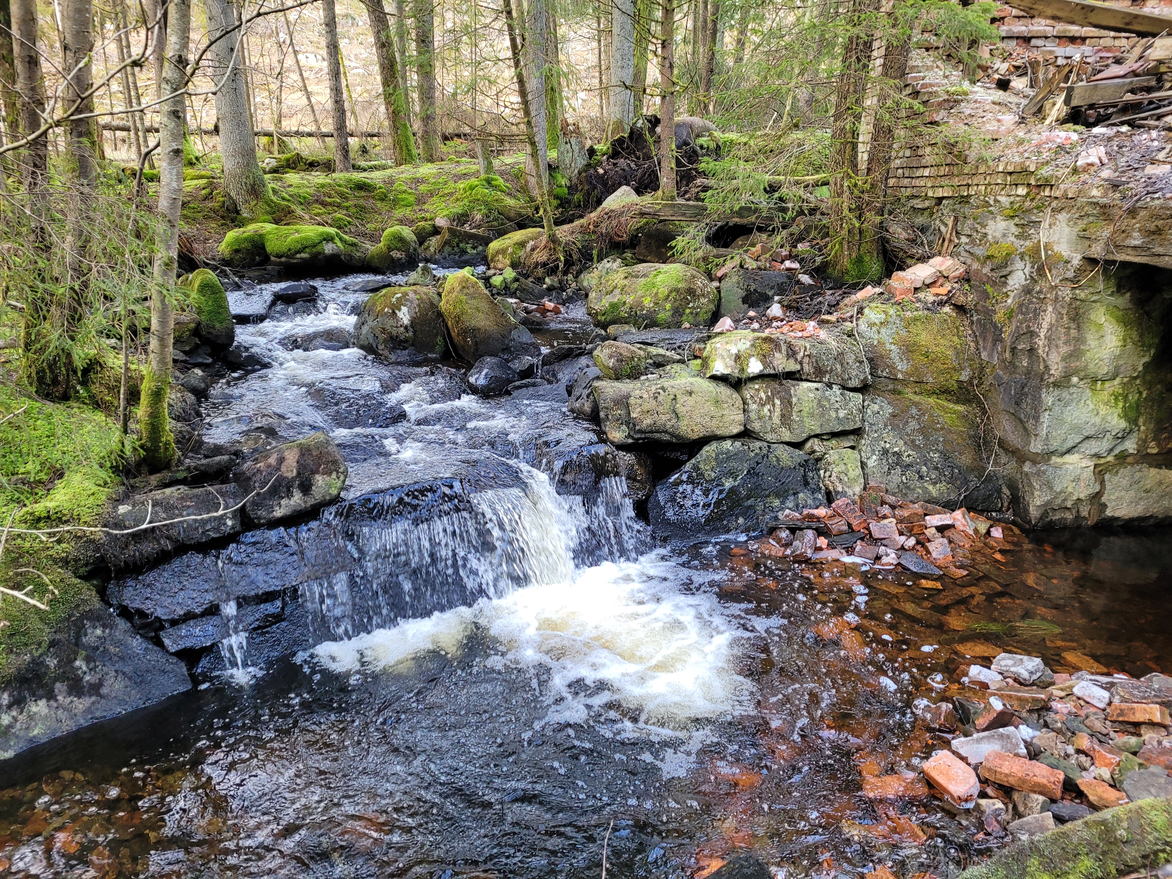 En porlande bäck i skog vid Villa Ekegården