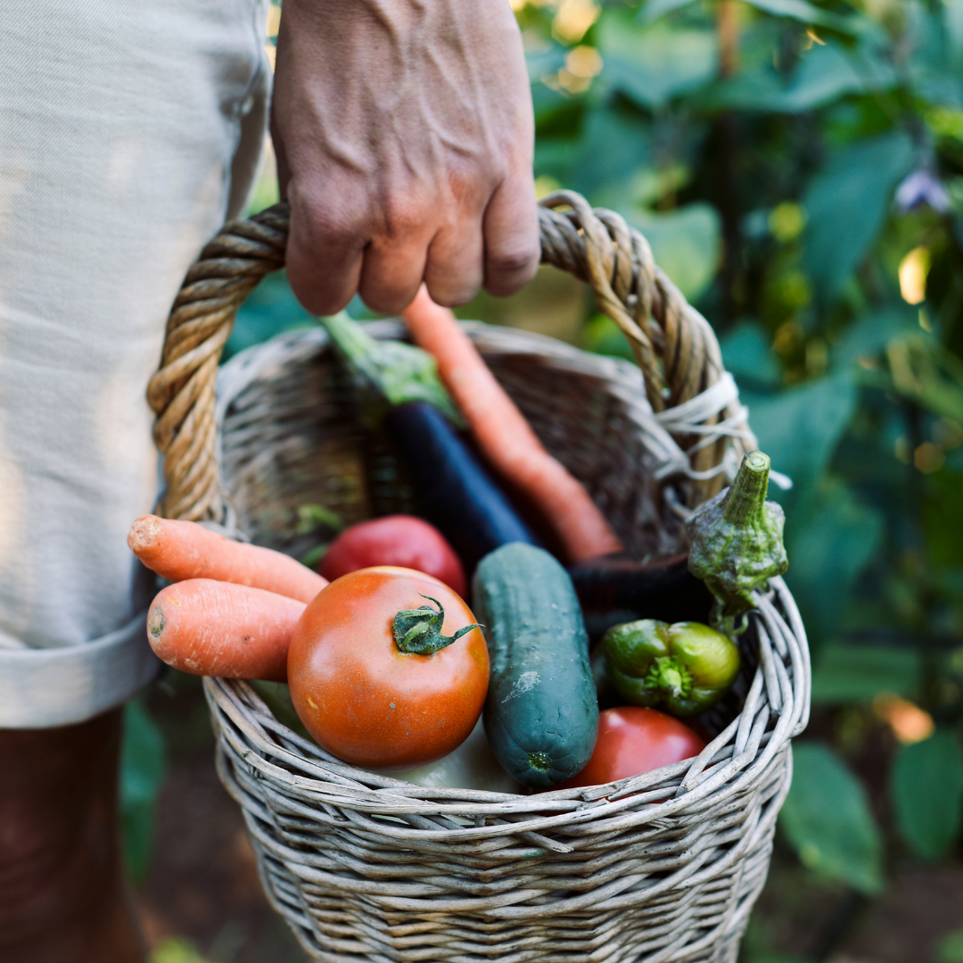Färska grönsaker från Everhags gård