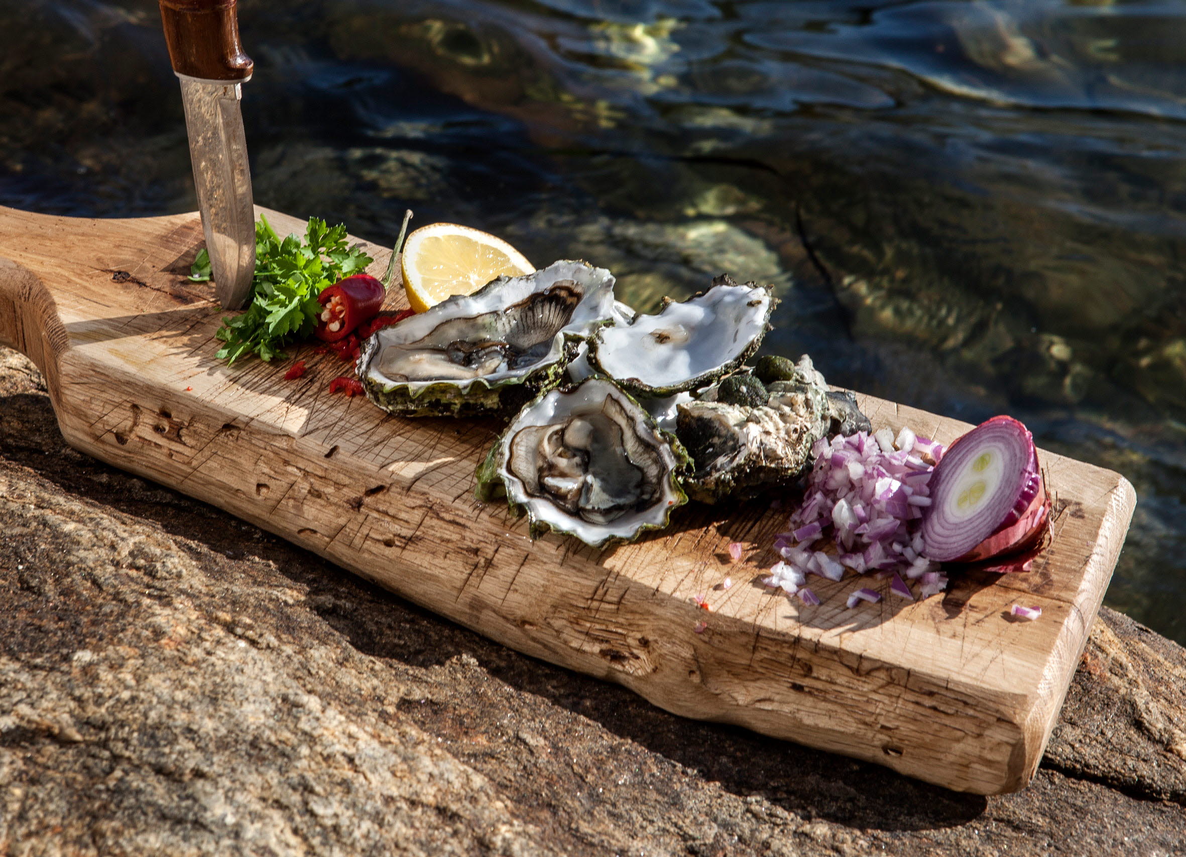 Oysters by the seaside