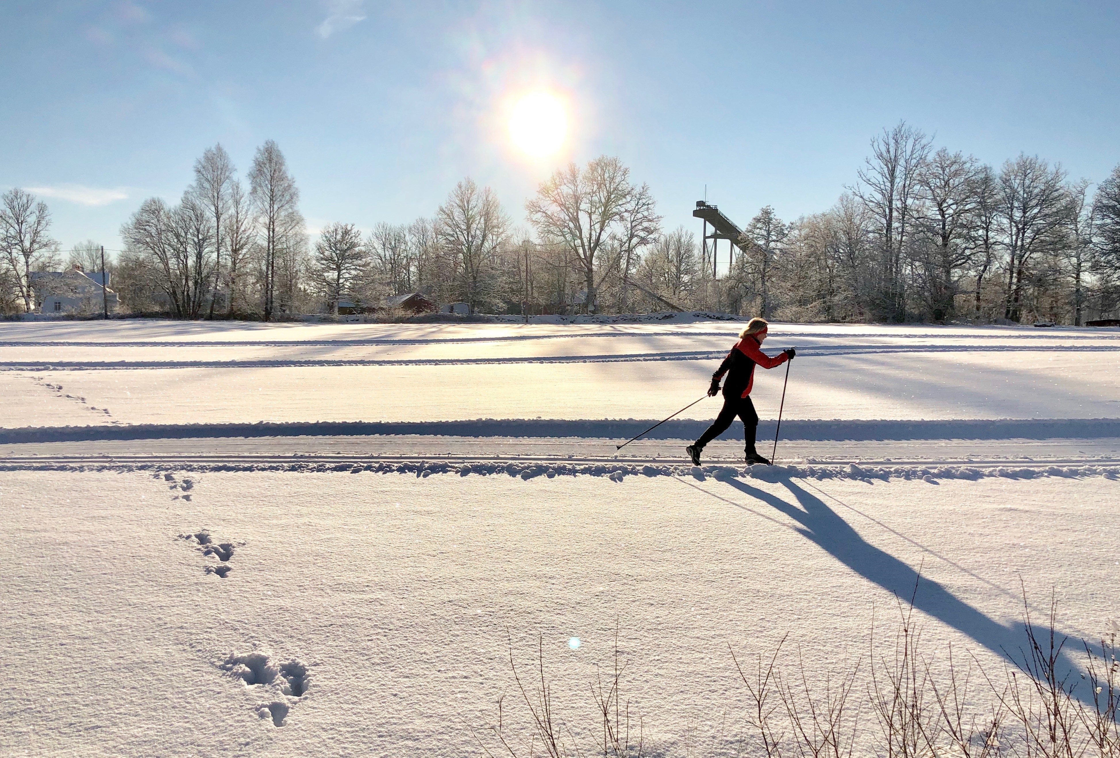 Skier in a sunny winter landscape.