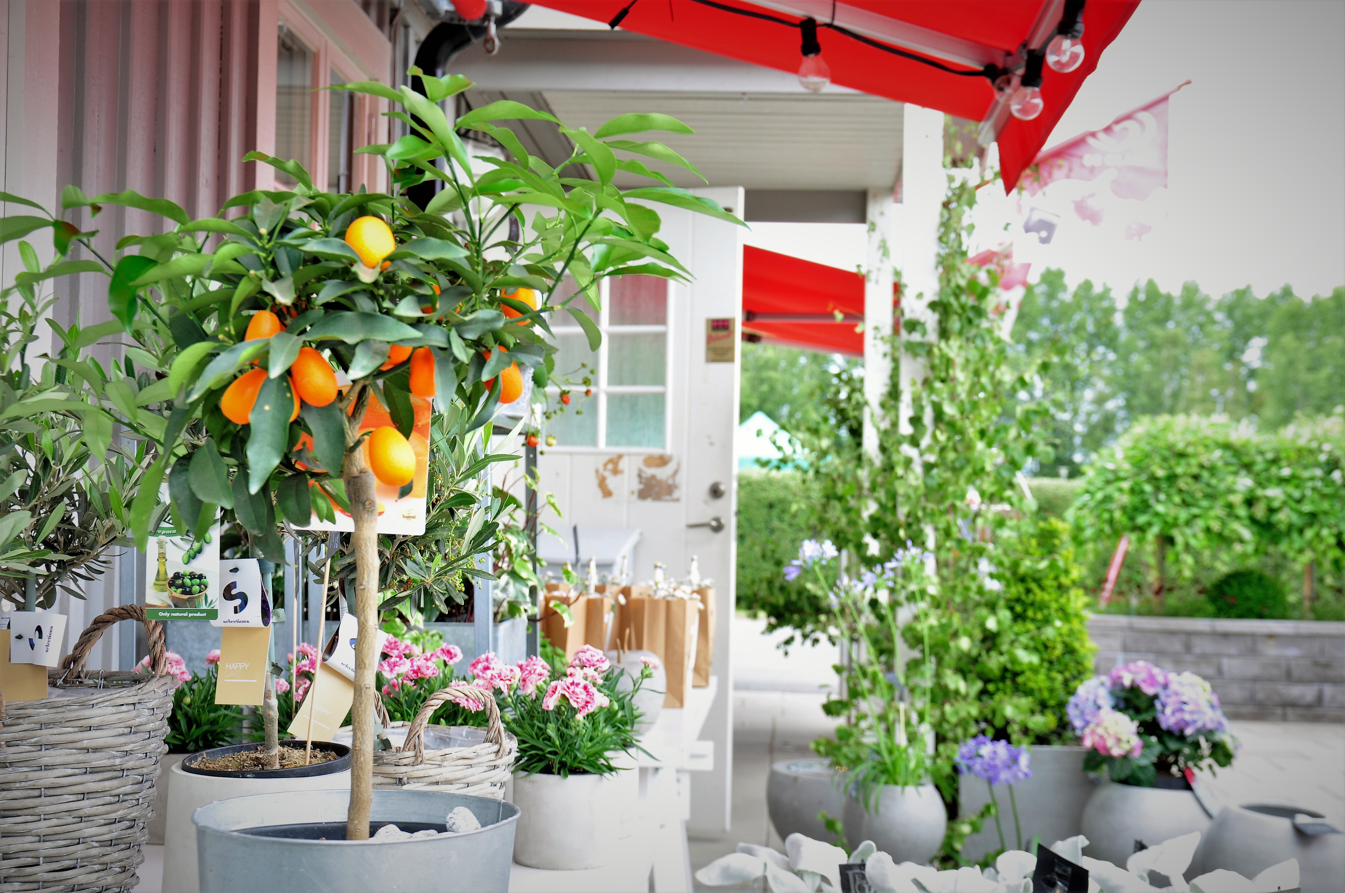 The entrance to Hjo Camping.