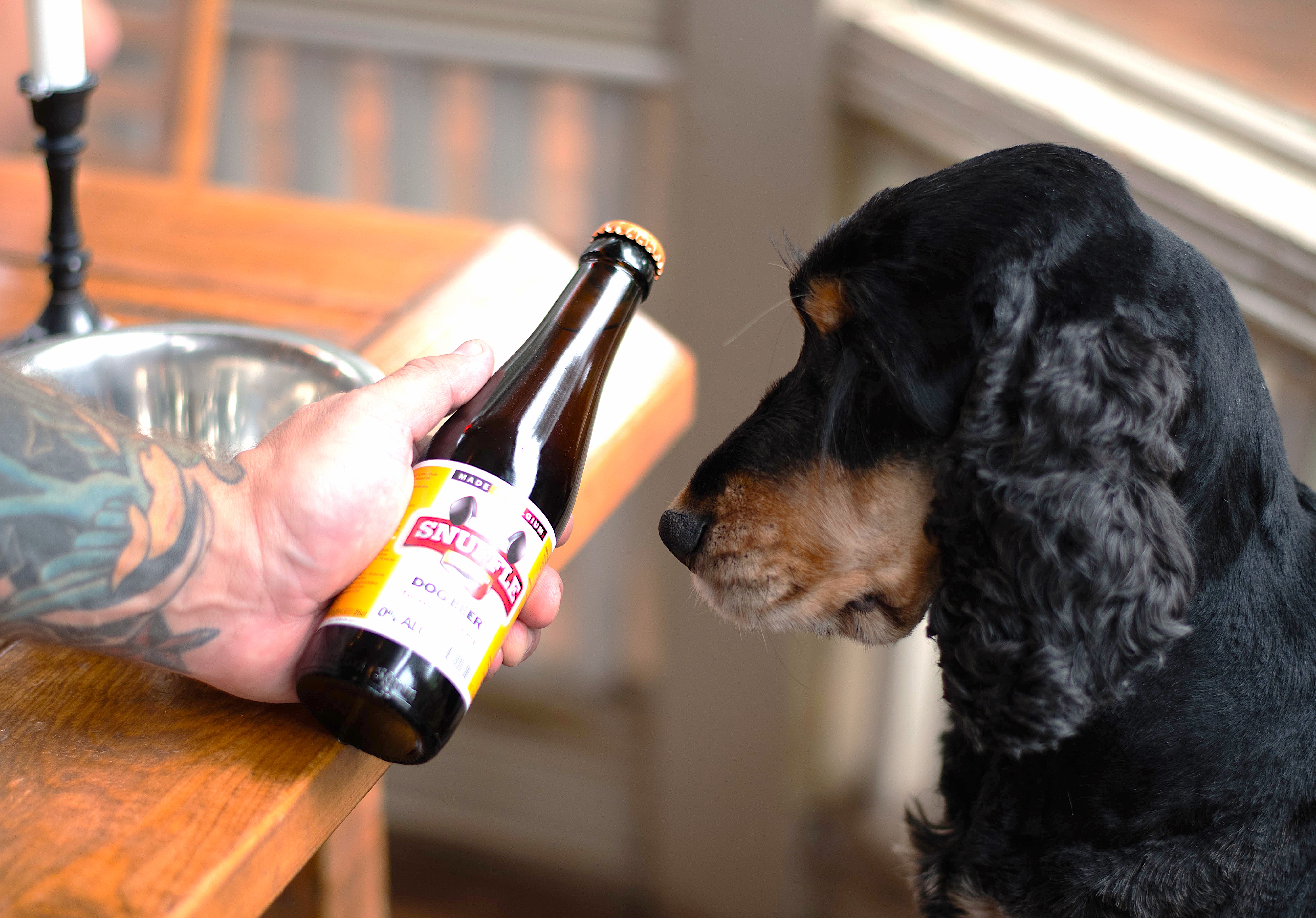 Hundvänlig restaurang Biergarten Hjo