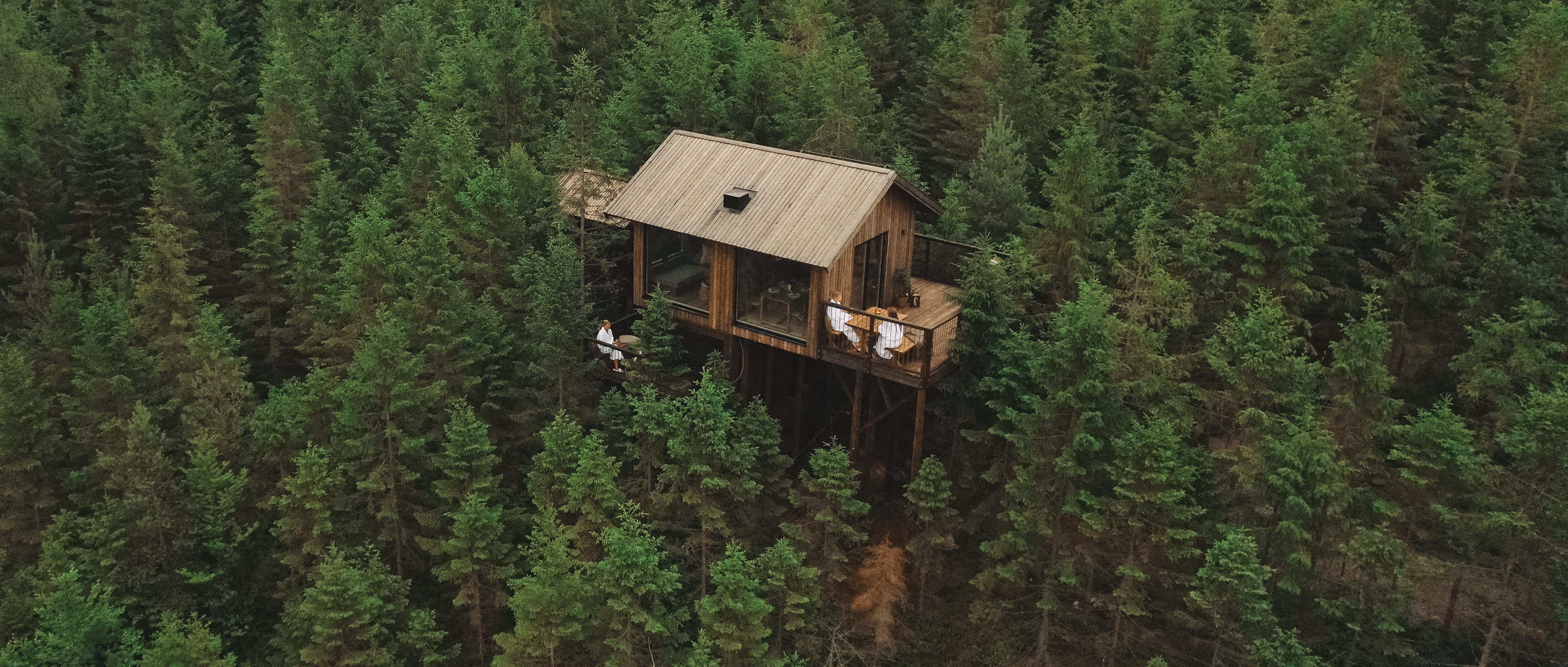 Boende bland trädtoppar i skogen.