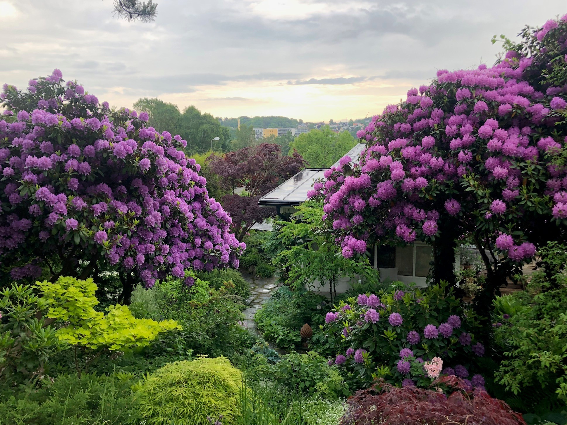 Känn trädgården - en besöksträdgård i Askim, Göteborg