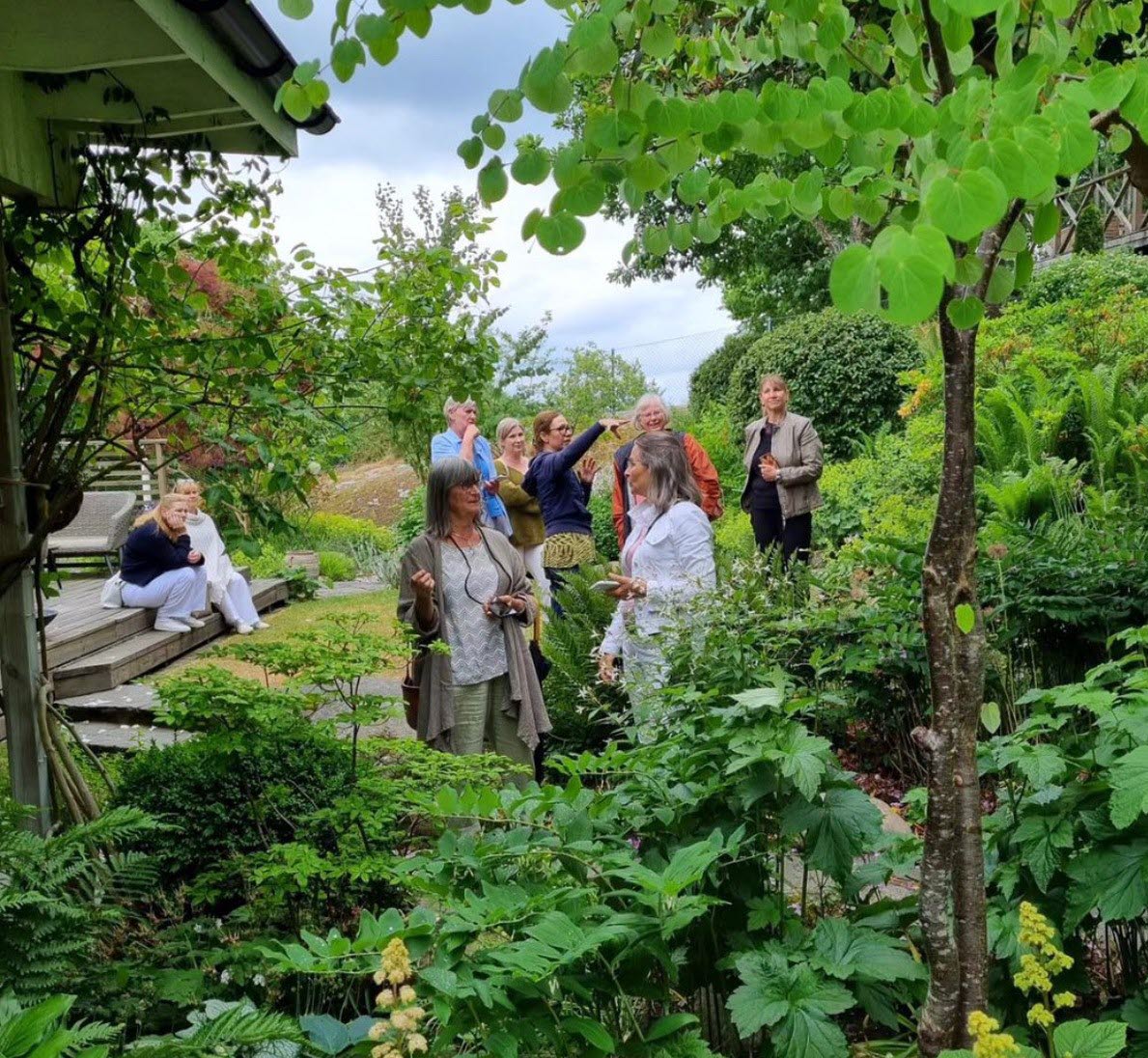 Känn trädgården - en besöksträdgård i Askim, Göteborg