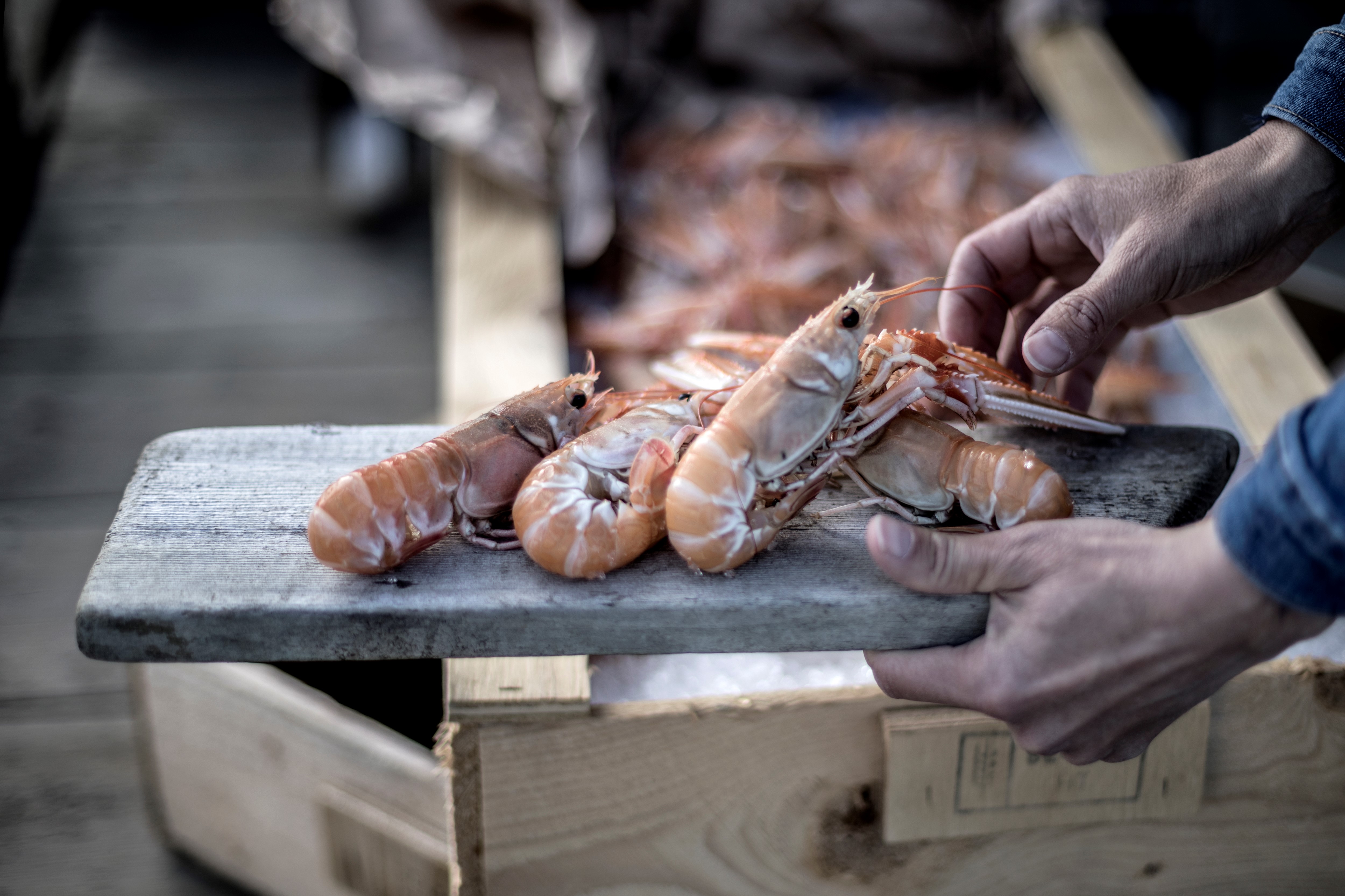 Hamnkrogen Lotsen på Vrångö