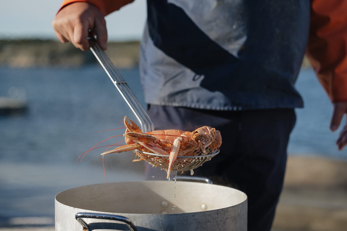 Crayfish boil on the jetty, Tanumstrand