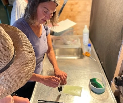 Kursdeltagare på Fjälla Trädgård