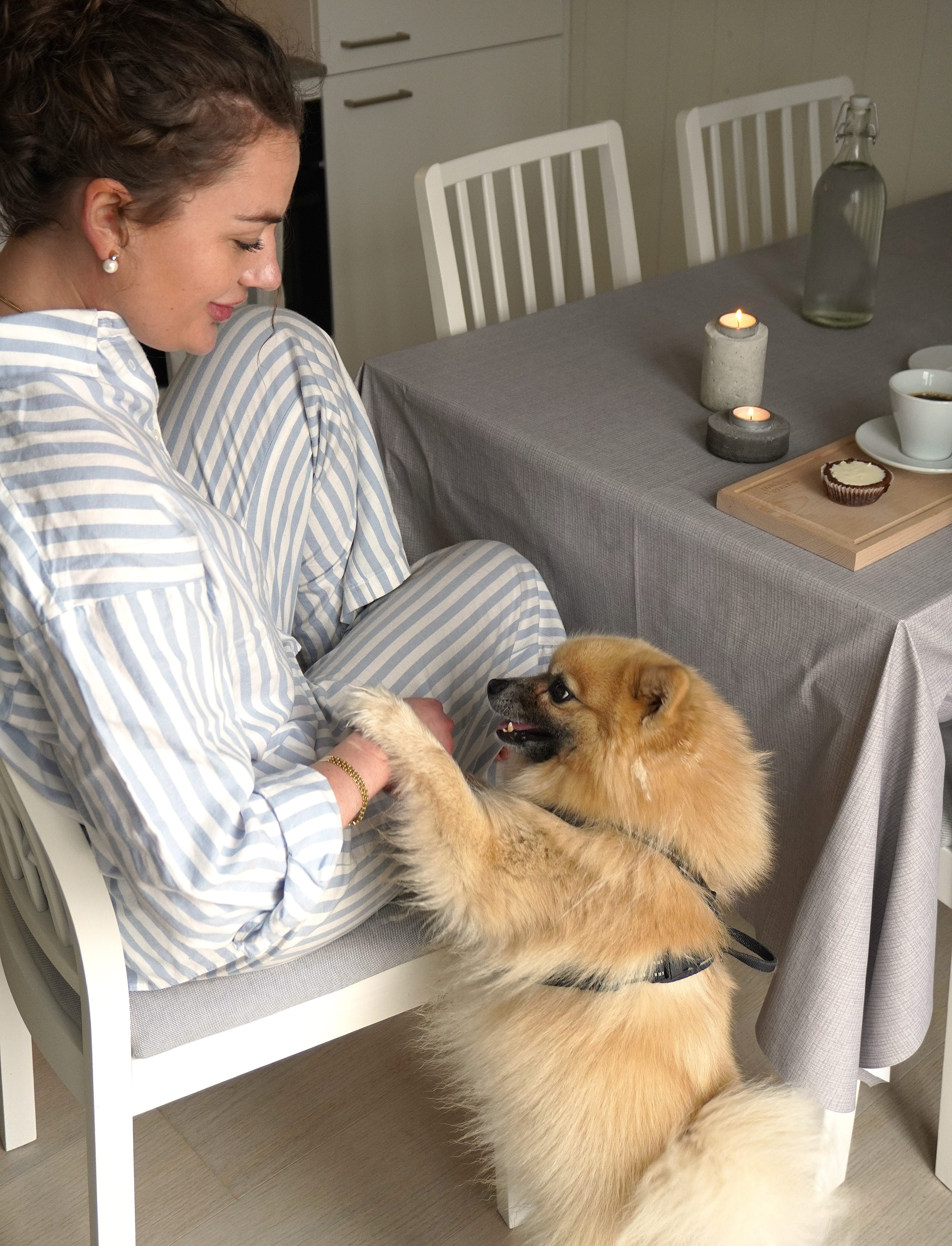 Kvinnlig gäst med liten hund i stuga hos Dyröns Värdshus