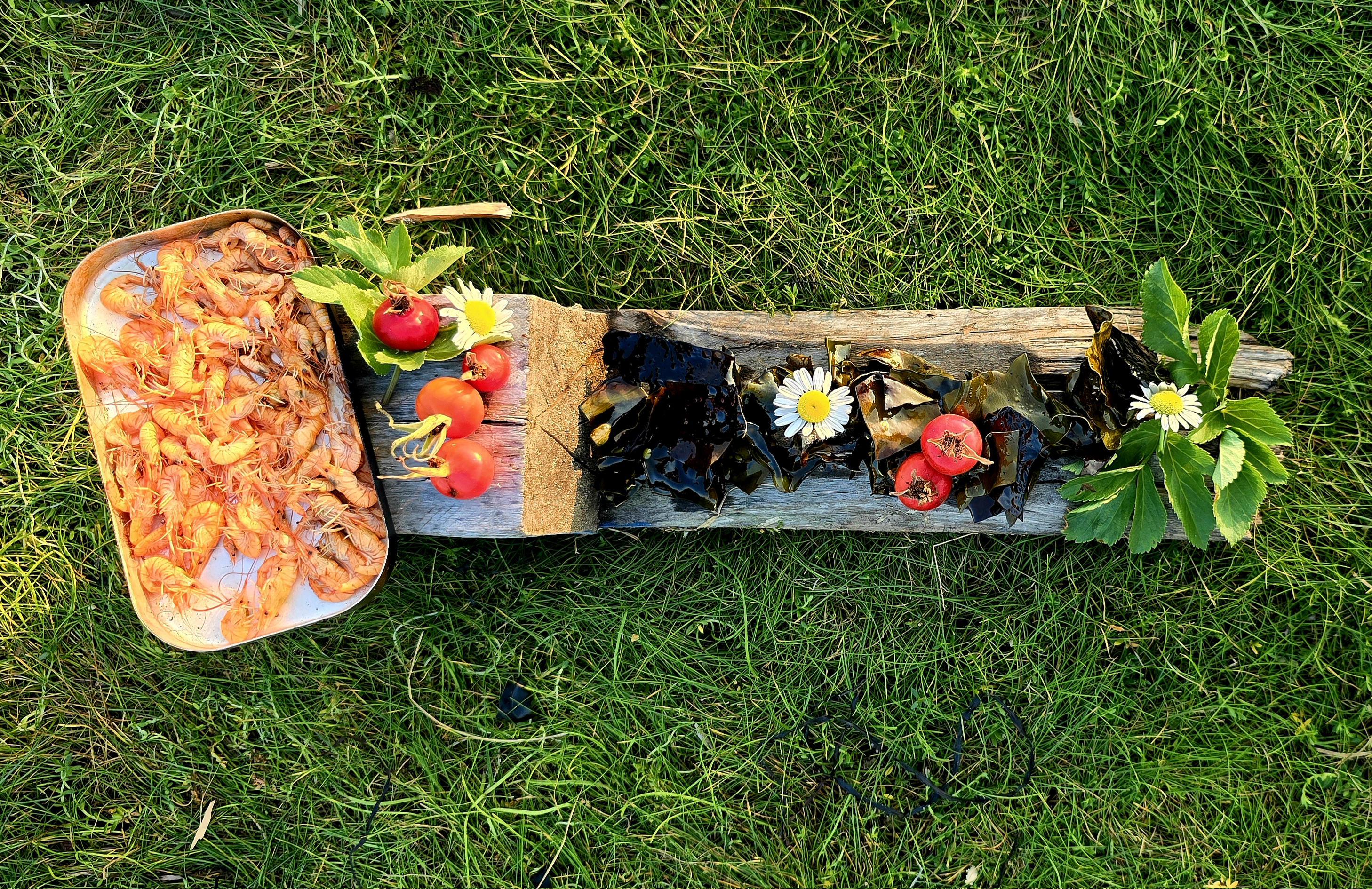 Läcker mat på trädstam - matlagning i naturen