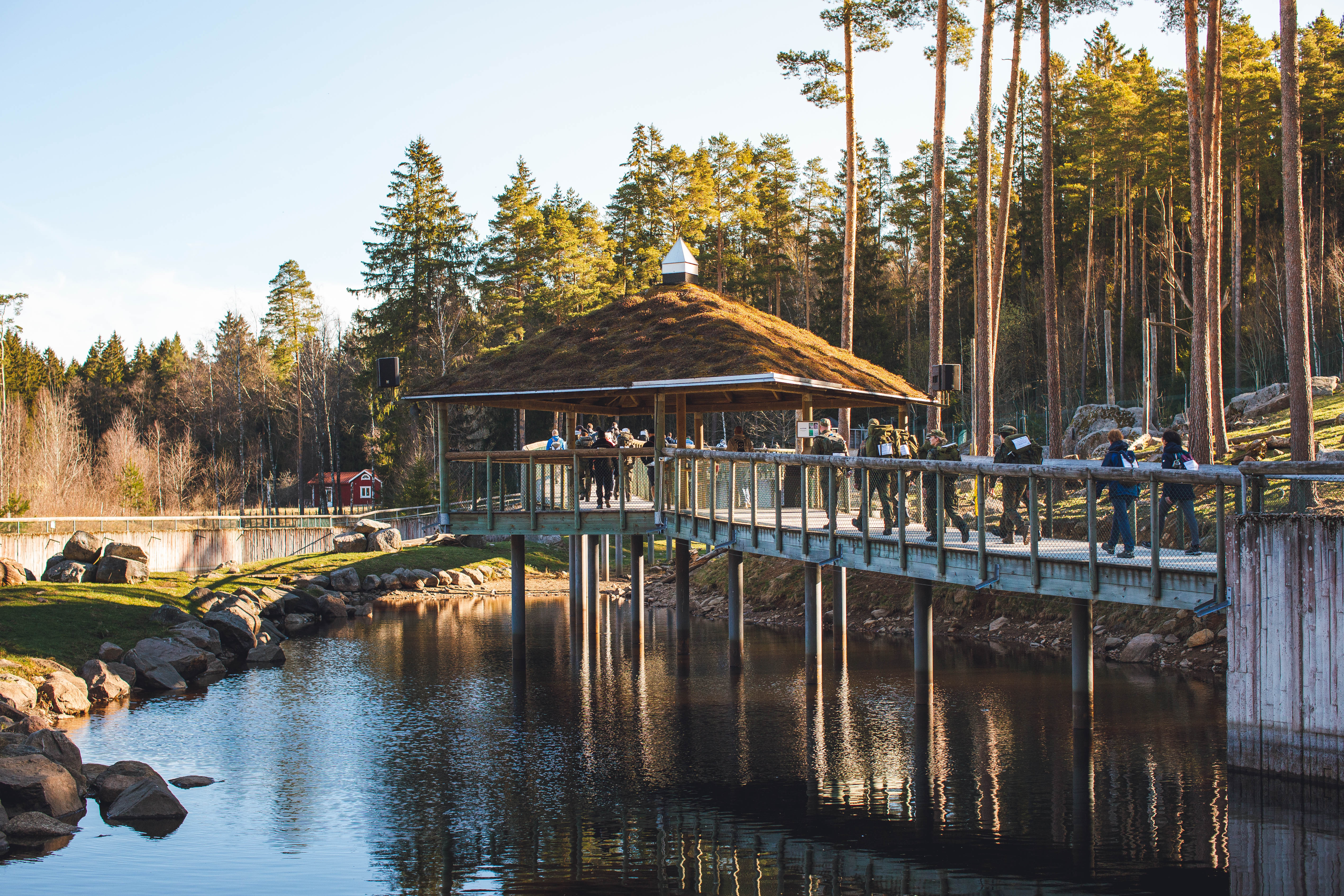 Människor som vandrar inne på Borås Djurpark.