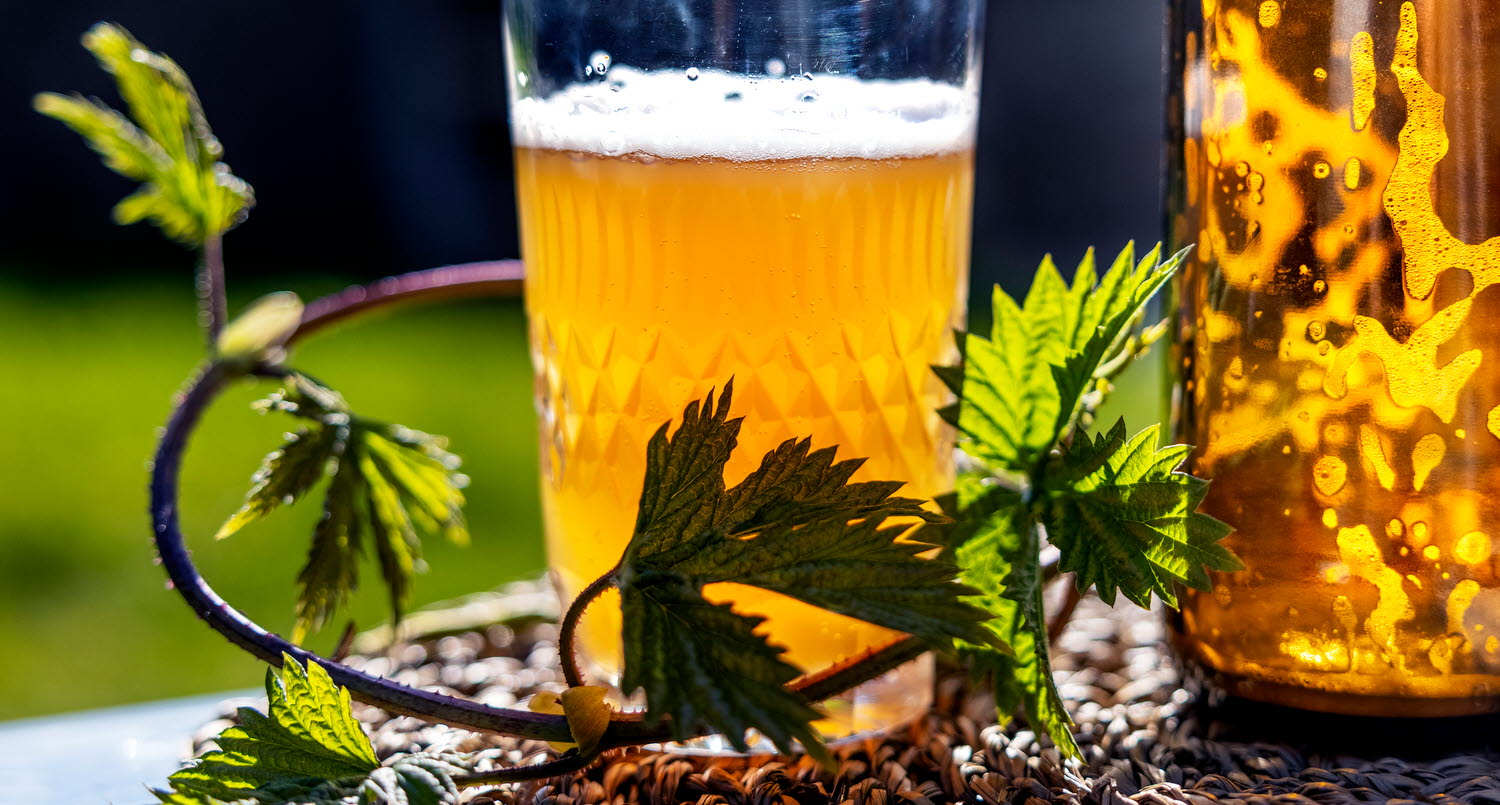 Locally produced beer in a beautiful glass