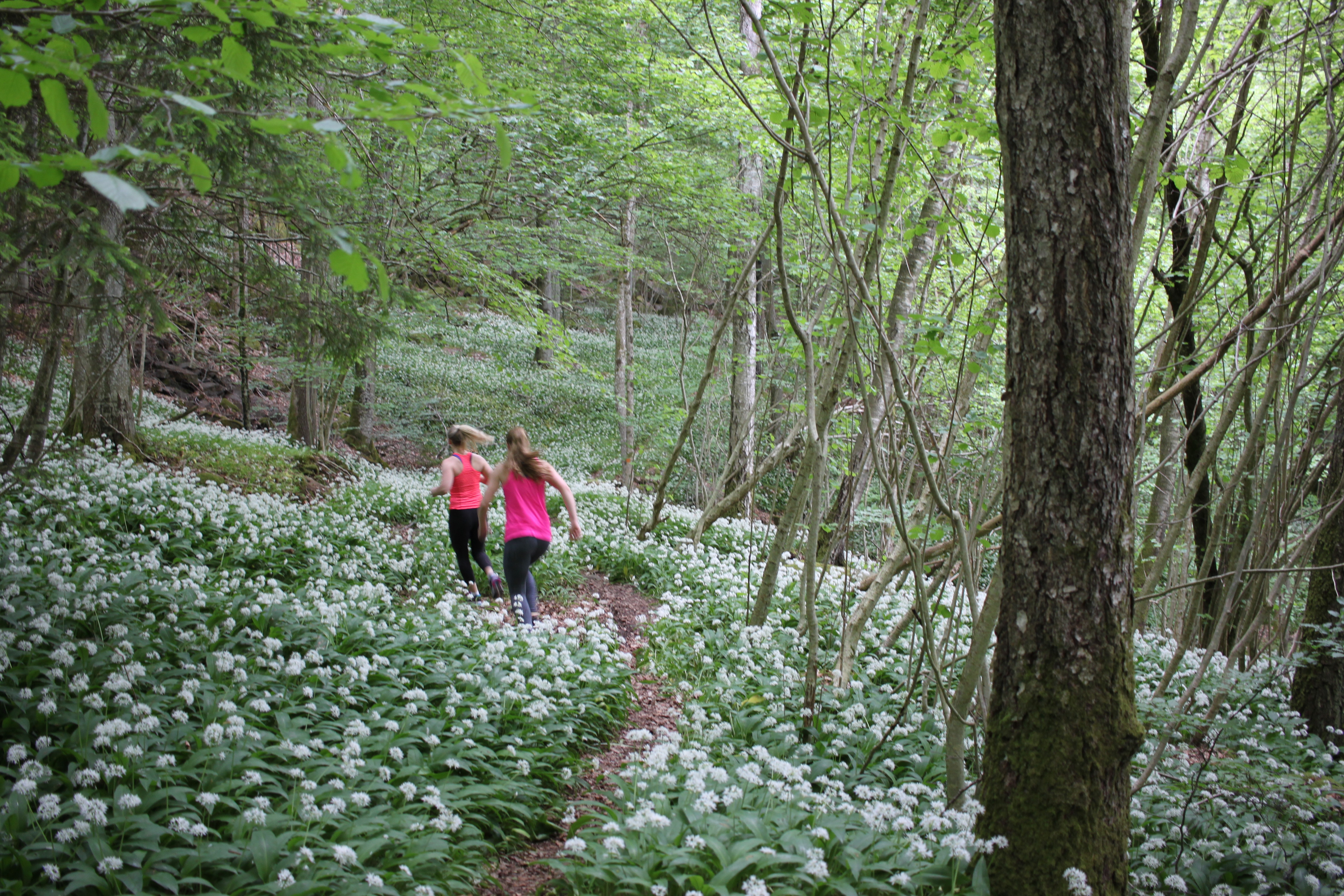 Två tjejer springer i skogen på en vandringsled.