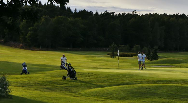 Golf players at Mjölkeröds Golf Club.