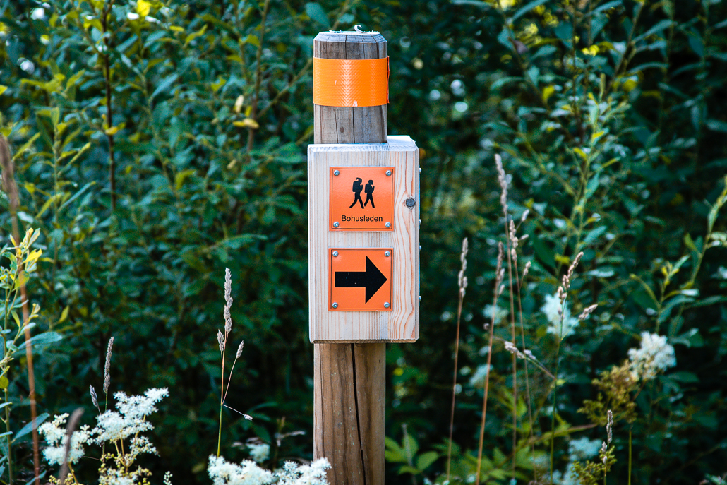 Trekking at Munkedals Herrgård