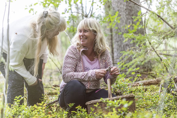 Trekking at Pensionat Klåvasten