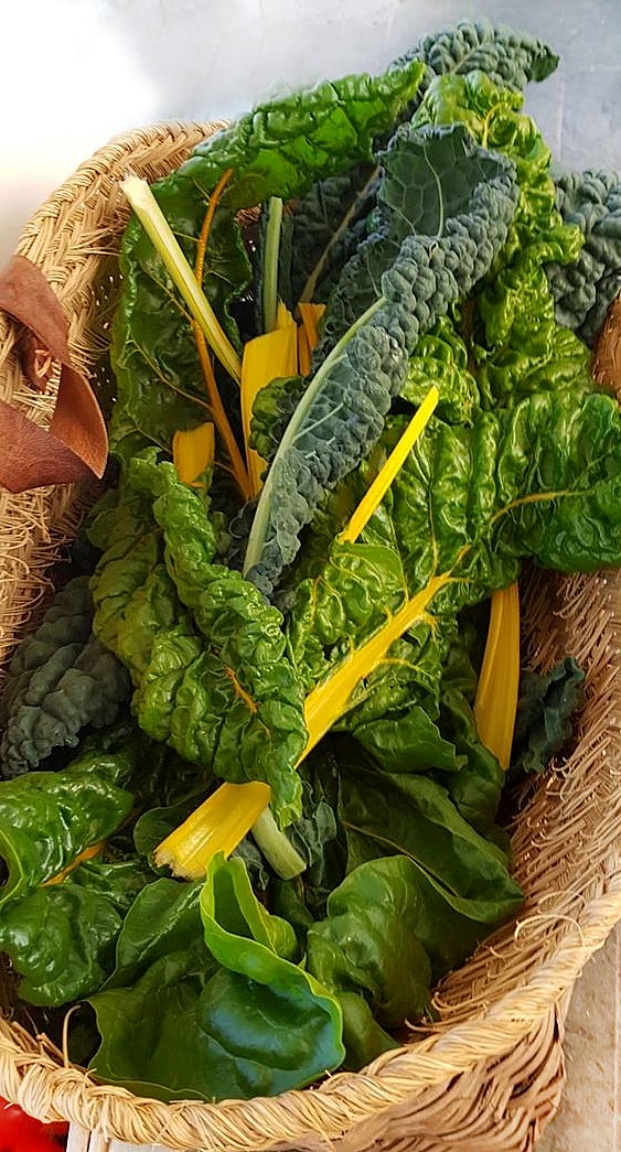 Nyplockad sallad i korg, Hellekis Kök & Trädgårdscafé