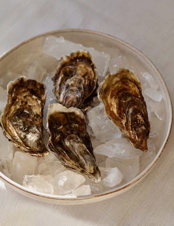 Oysters on ice at Karstorp Säteri