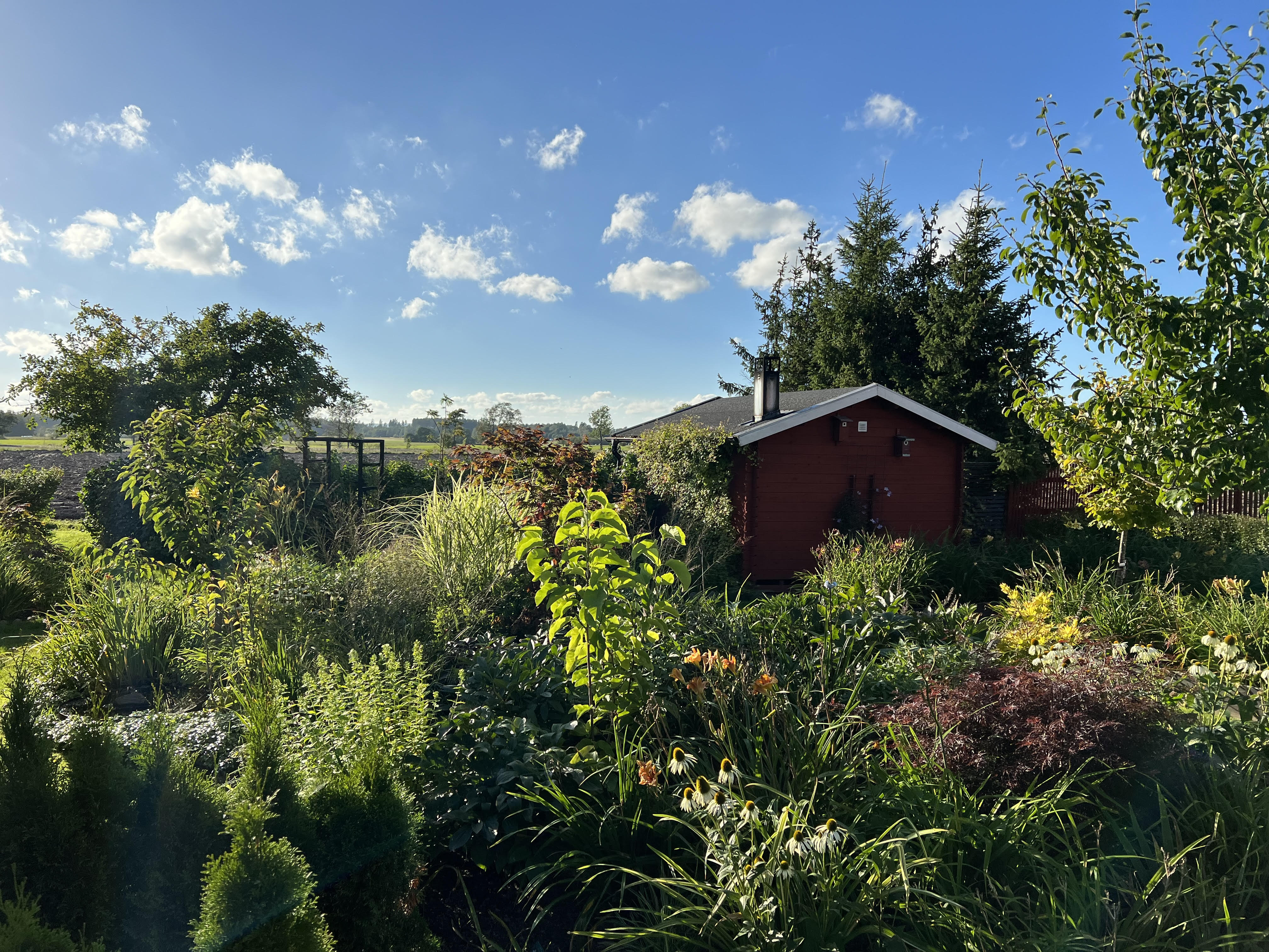Prunkande rabatter på Sinnlig Trädgård