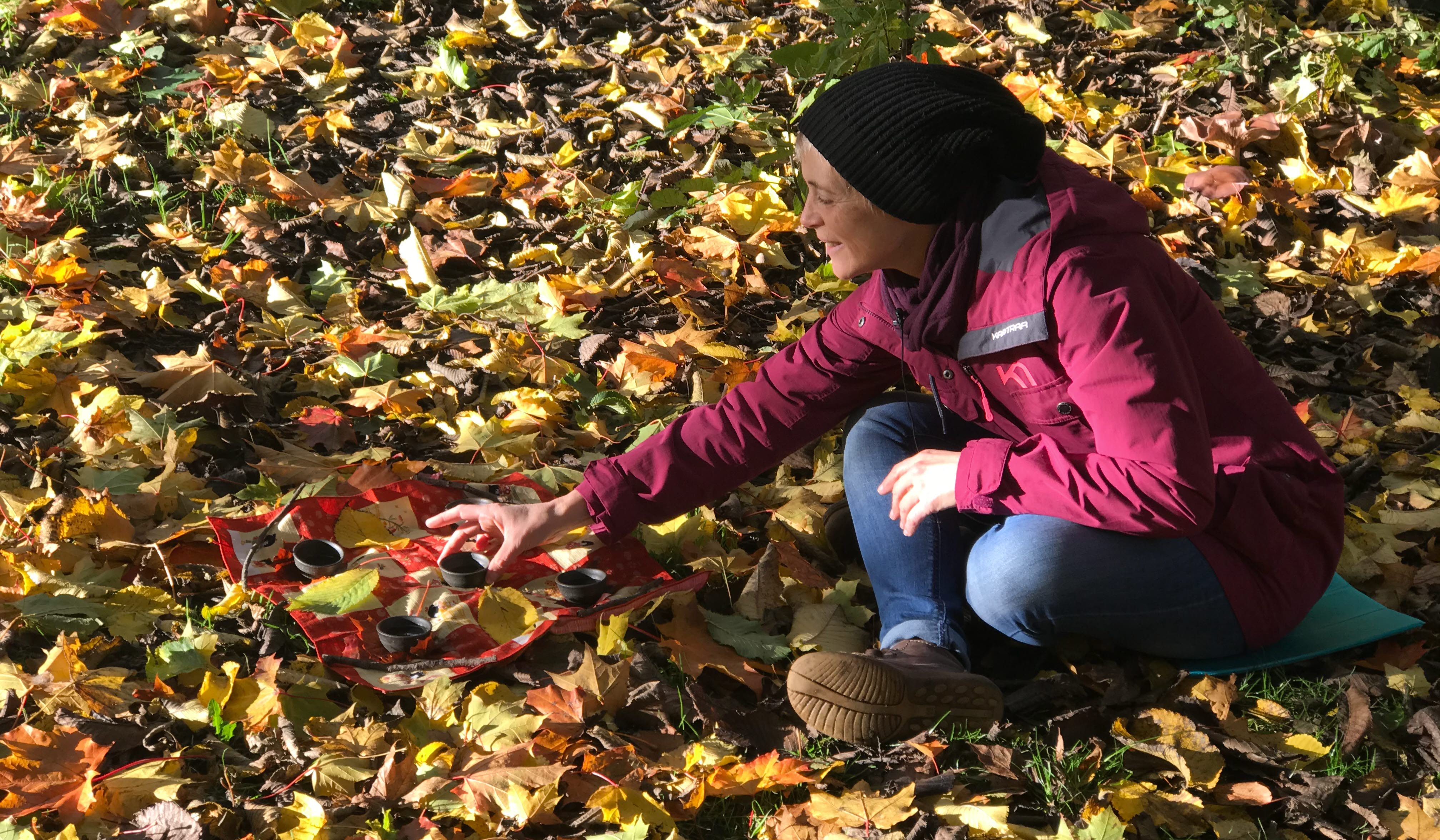 Skogsguiden Laurence Nachin, Sense in Nature