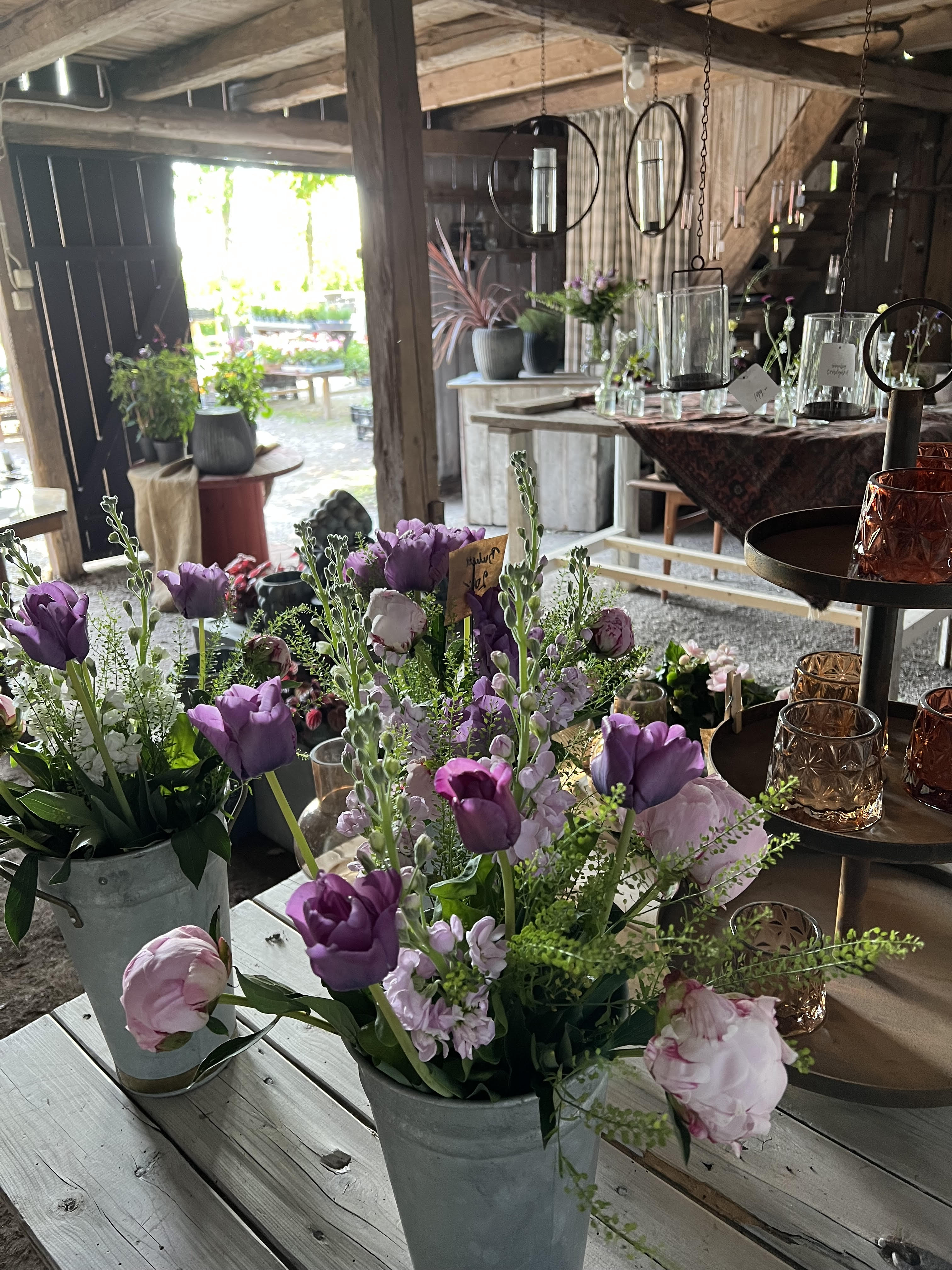 Sinnlig Trädgårds handelsbutik