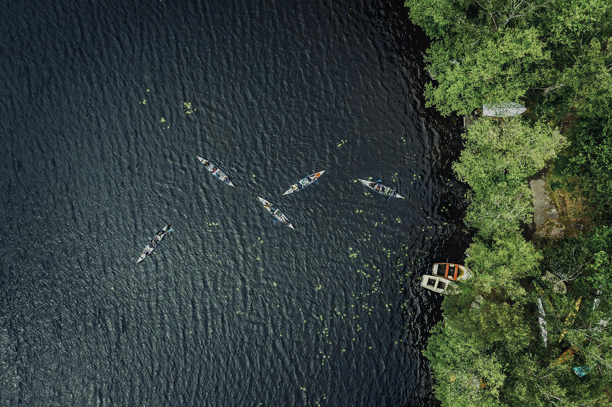 Kanoter i sjön från ett fågelperspektiv