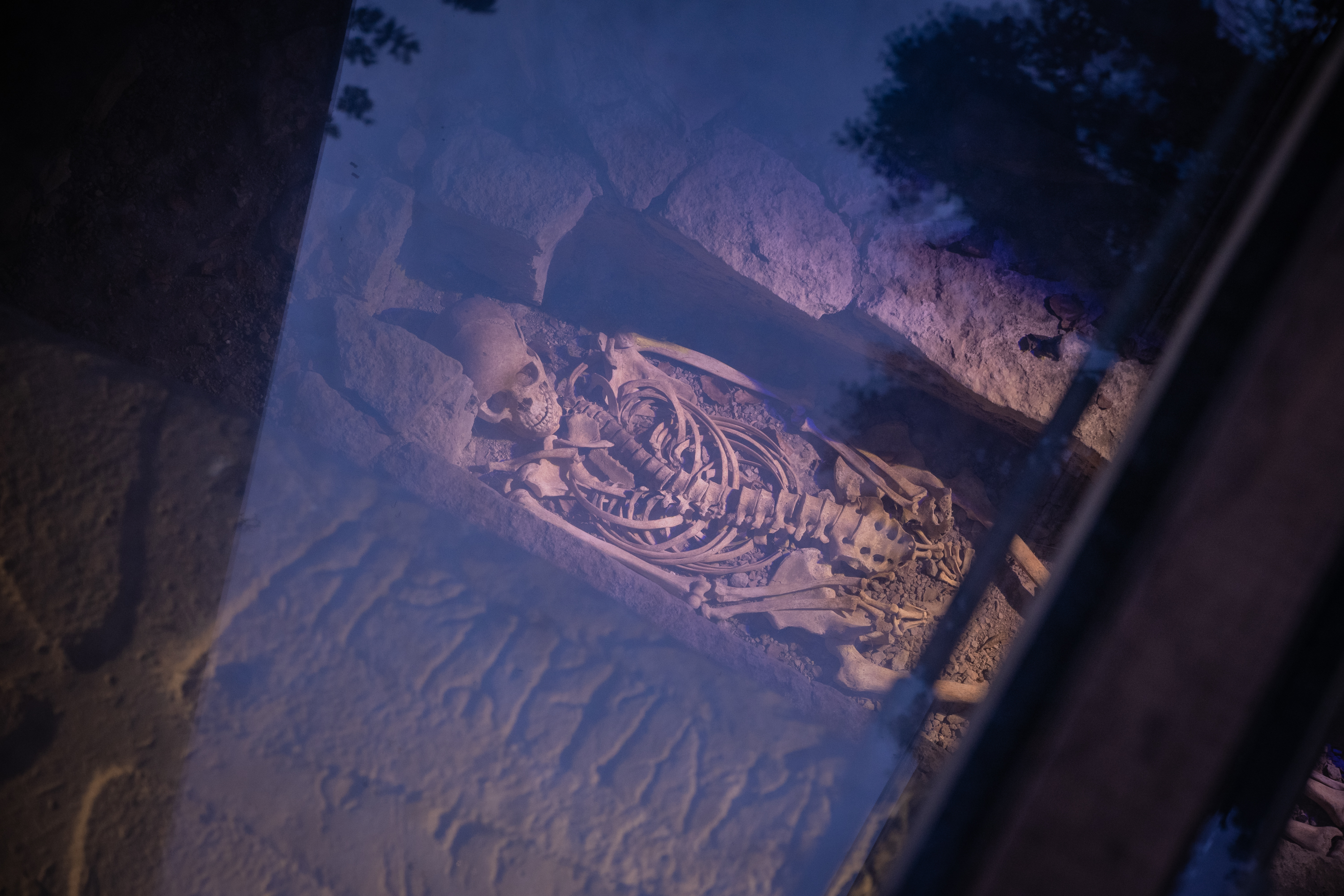 A sceleton grave at Kata gård in Varnhem, Platåbergens Geopark