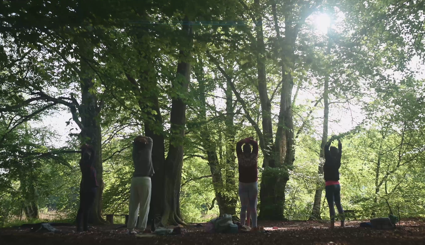 Människor som utöver yoga i skogen.