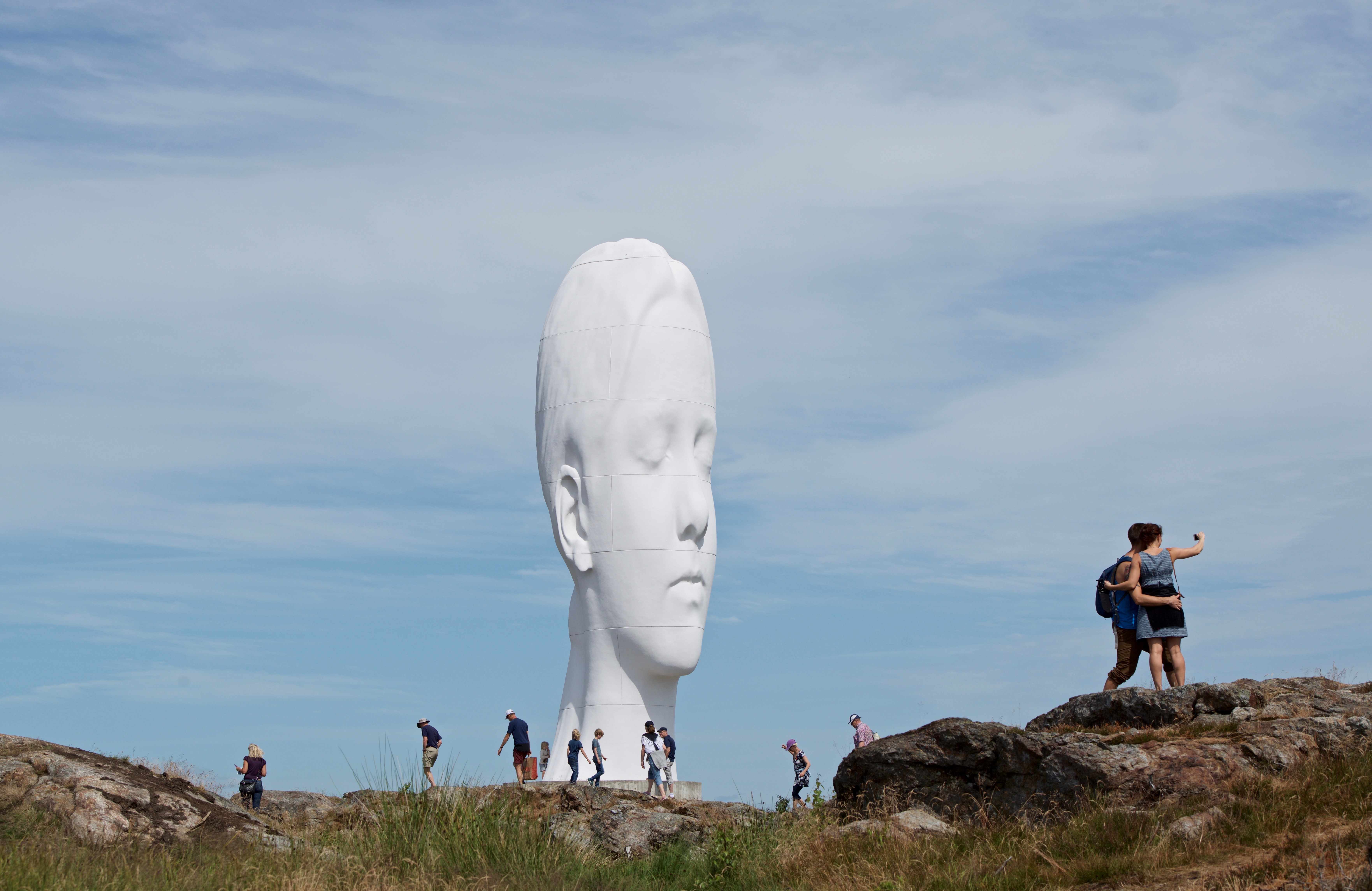 White arthead at Skulptur i Pilane.