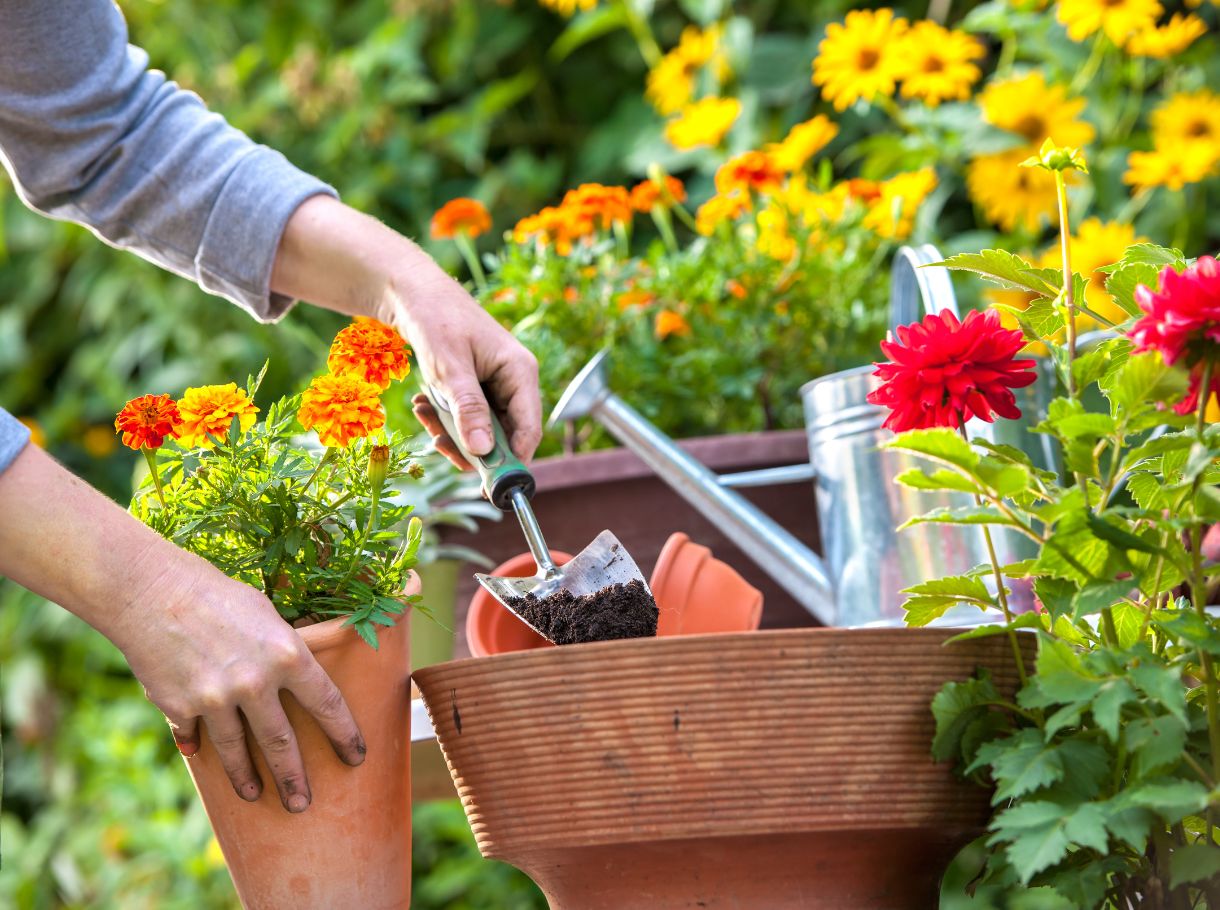Trädgårdsarbete på Brunsbo Gästgifveri